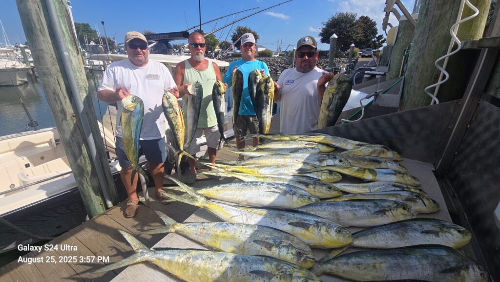 Four anglers with large mahi-mahi catch on dock after offshore fishing charter in Ocean City Maryland